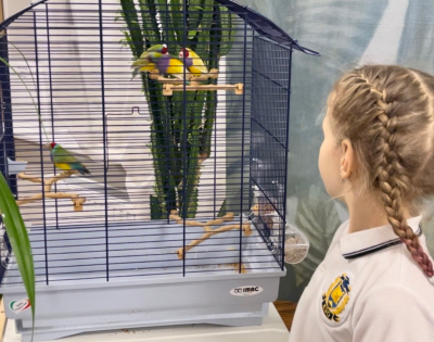 Новые обитатели